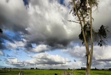 鲸鱼体育官网：记者：拉菲尼亚、滕森参加了巴萨合练，奥尔莫、卡萨多缺席.