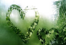 鲸鱼体育官网：4-1大胜皇家社会，曼联自2023年3月以来首次在欧战打进4球.